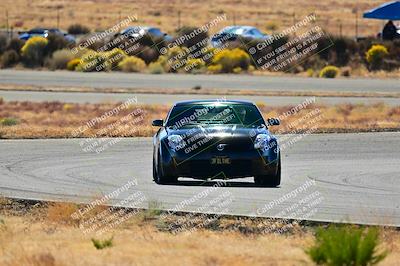 media/Nov-16-2024-Extreme Speed (Sat) [[6587d07cc4]]/Gold Group/Session 2 (Turns 3 and 5)/